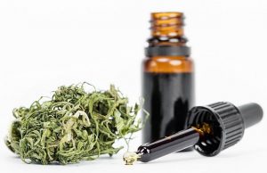 Read more about the article THE CONFUSING WORLD OF CANNABINOIDS MEDICINE