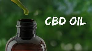 You are currently viewing CBD OIL OR HEMP OIL